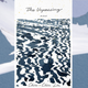 Illustration for article titled Tragedy strikes an immigrant family in the bleak and beautiful The Unpassing
